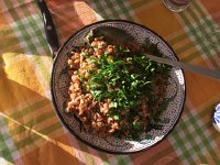 2017-04-24 19-21-34 b2755abc  spelt